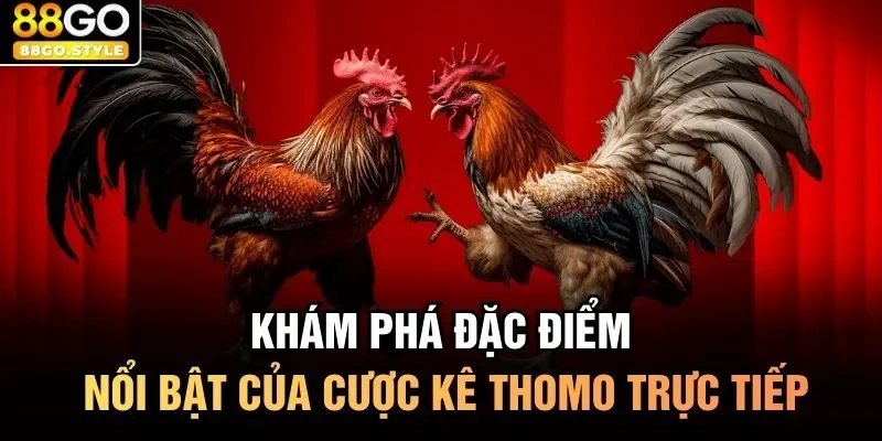 Khám phá đặc điểm nổi bật của cược kê Thomo trực tiếp