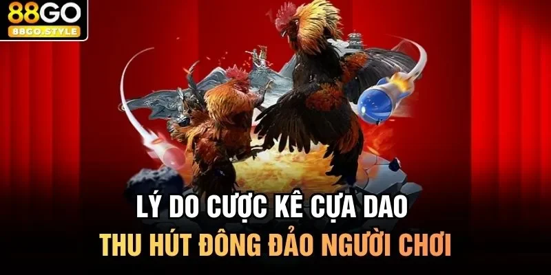 Lý do cược kê cựa dao thu hút đông đảo người chơi